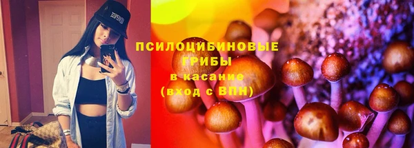 ALPHA-PVP Богородицк