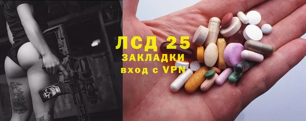 первитин Богданович