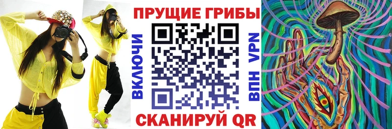купить  цена  Туапсе  Галлюциногенные грибы Cubensis 
